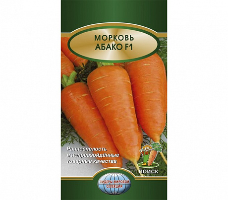 Морковь Абако F1 фото Морковь Абако F1 