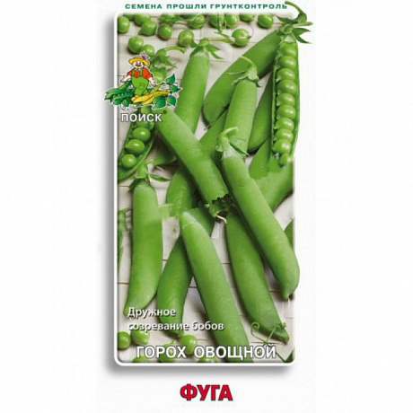 Горох овощной Фуга фото Горох овощной Фуга 
